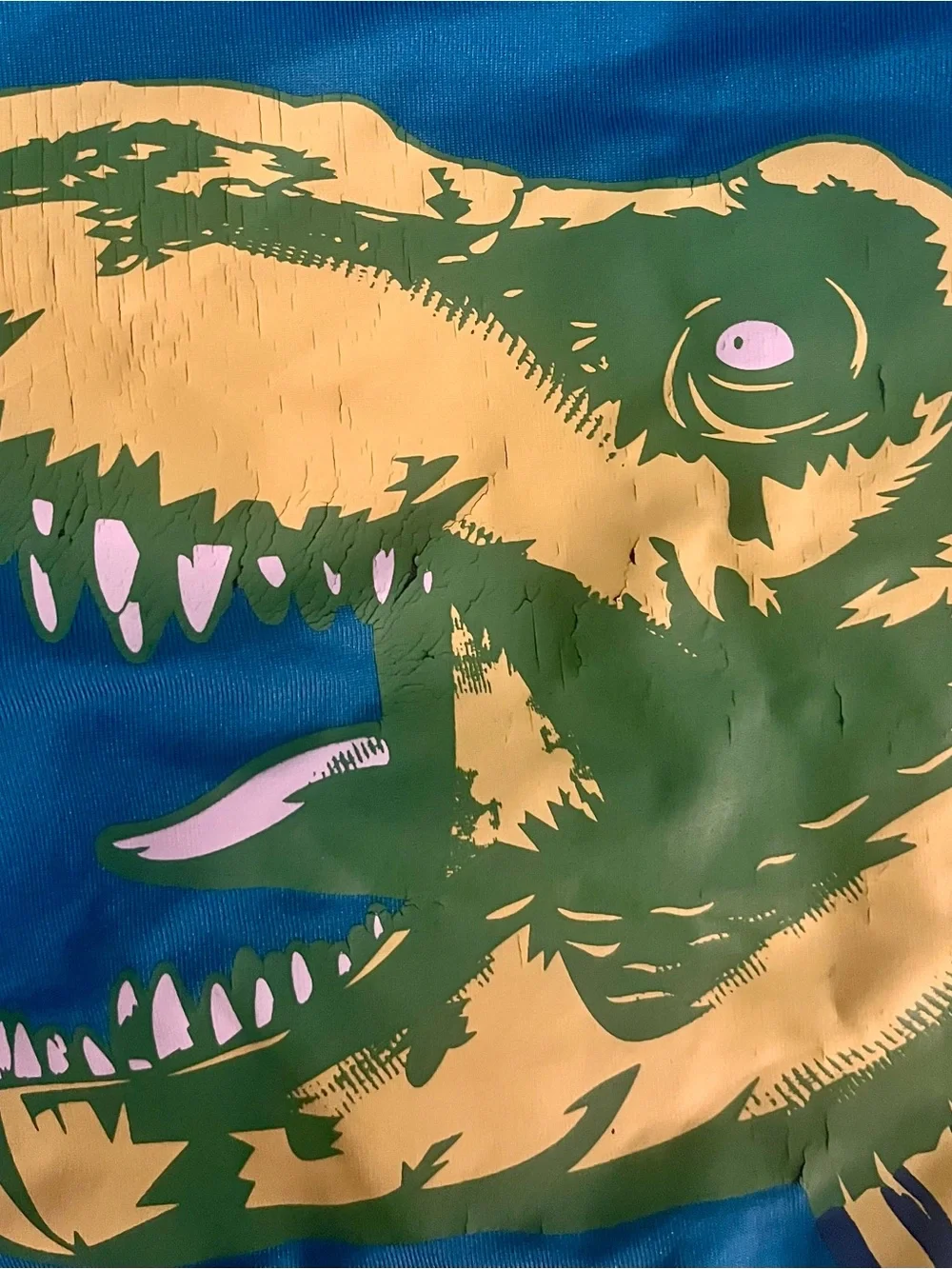 🦖Jurassic World T-Rex Short Sleeve Rash Guard | Boys M 8/10 | Universal Studios
